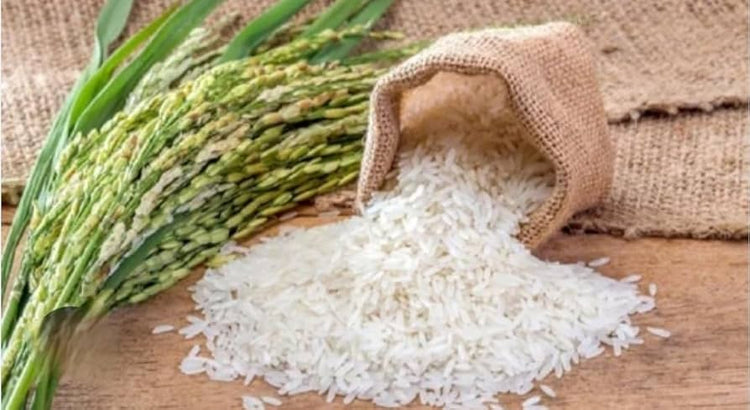 Organic Rice
